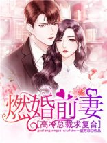 燃婚前妻:高冷总裁求复合/老公,爱太深